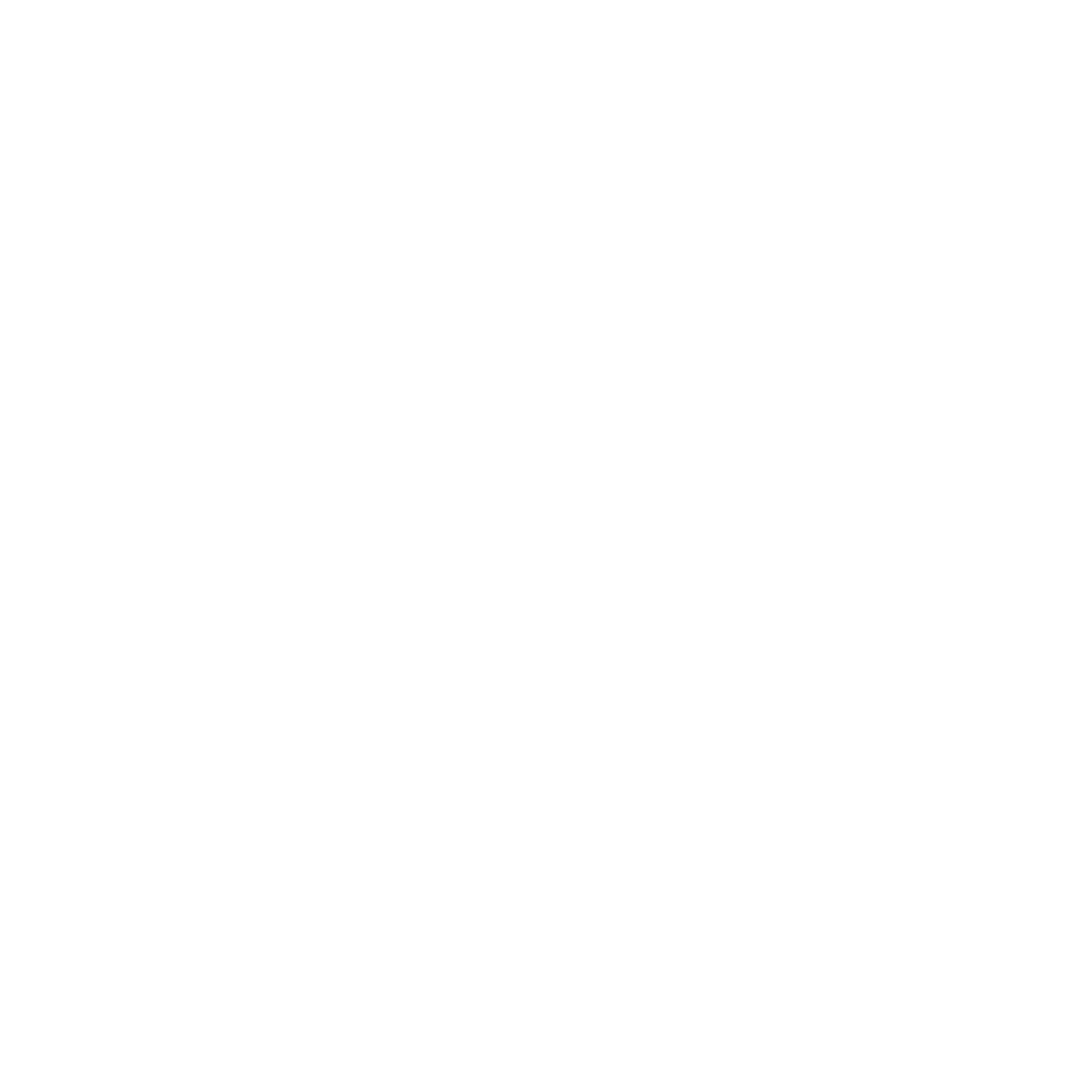 OCTOPUS TEAM