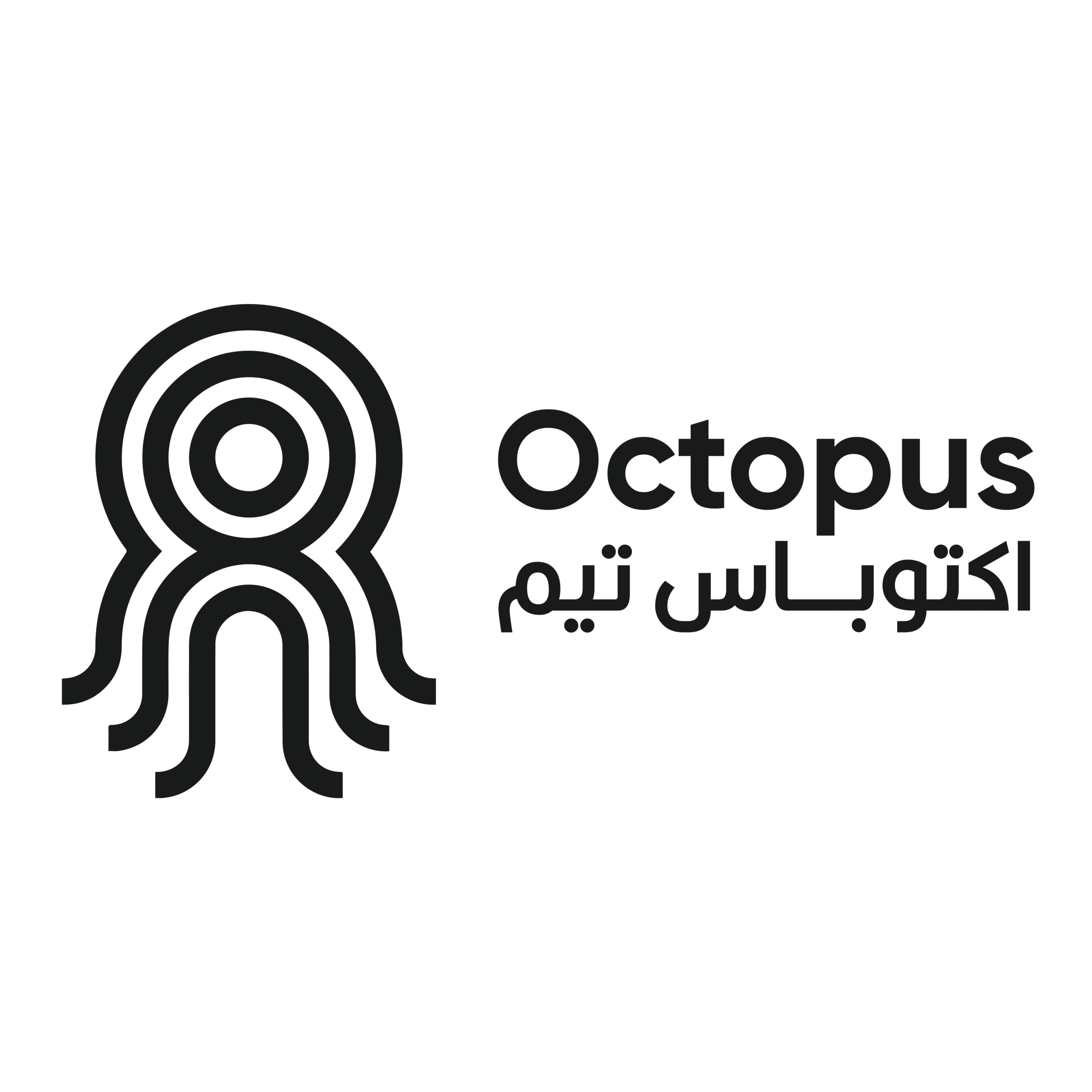 OCTOPUS TEAM